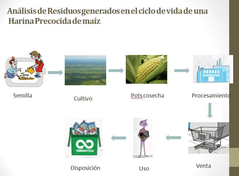 Residuos Sólidos: Análisis residuos en ciclo de vida de harina ...