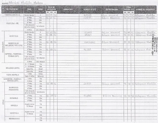 Mi Responsabilidad Nicolas!:D: Mi Carnet De Vacunación!