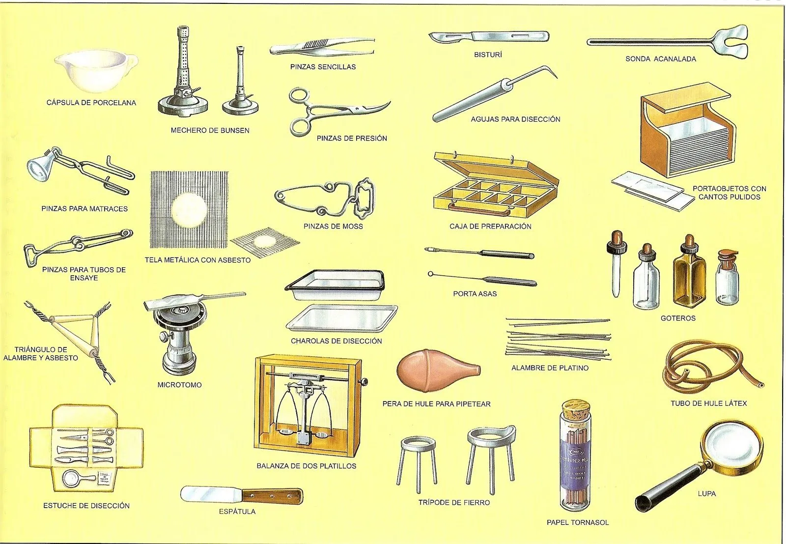 MI RESPUESTA: INSTRUMENTOS DE LABORATORIO