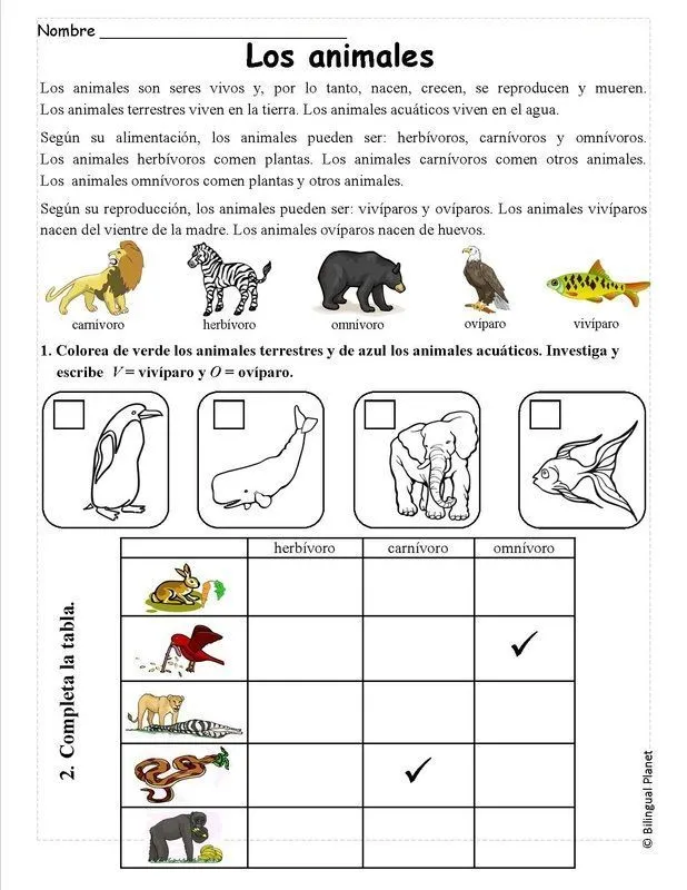 Resultado de imagen para ficha animales herbívoros carnívoros y omnívoros  para colorear | Ciencia natural, Ciencia preescolar, Prueba de ciencias  naturales