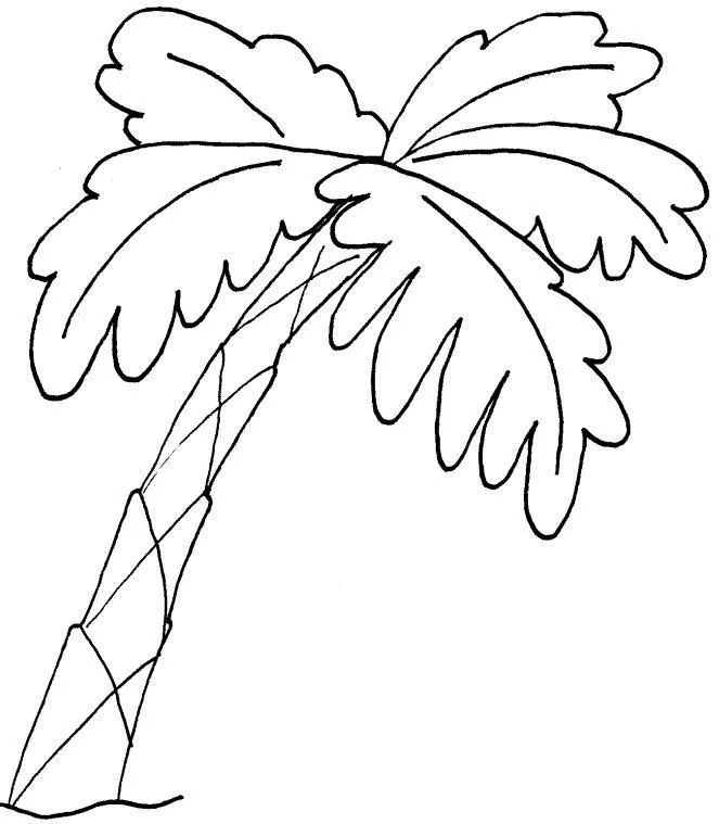 Resultados de búsqueda para dibujos de Palmera dibujo para ...