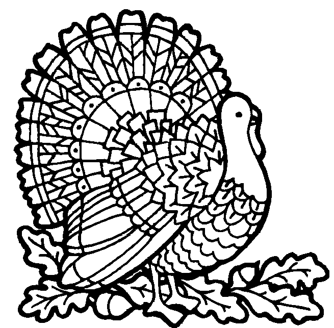 Pavo real vector - Imagui