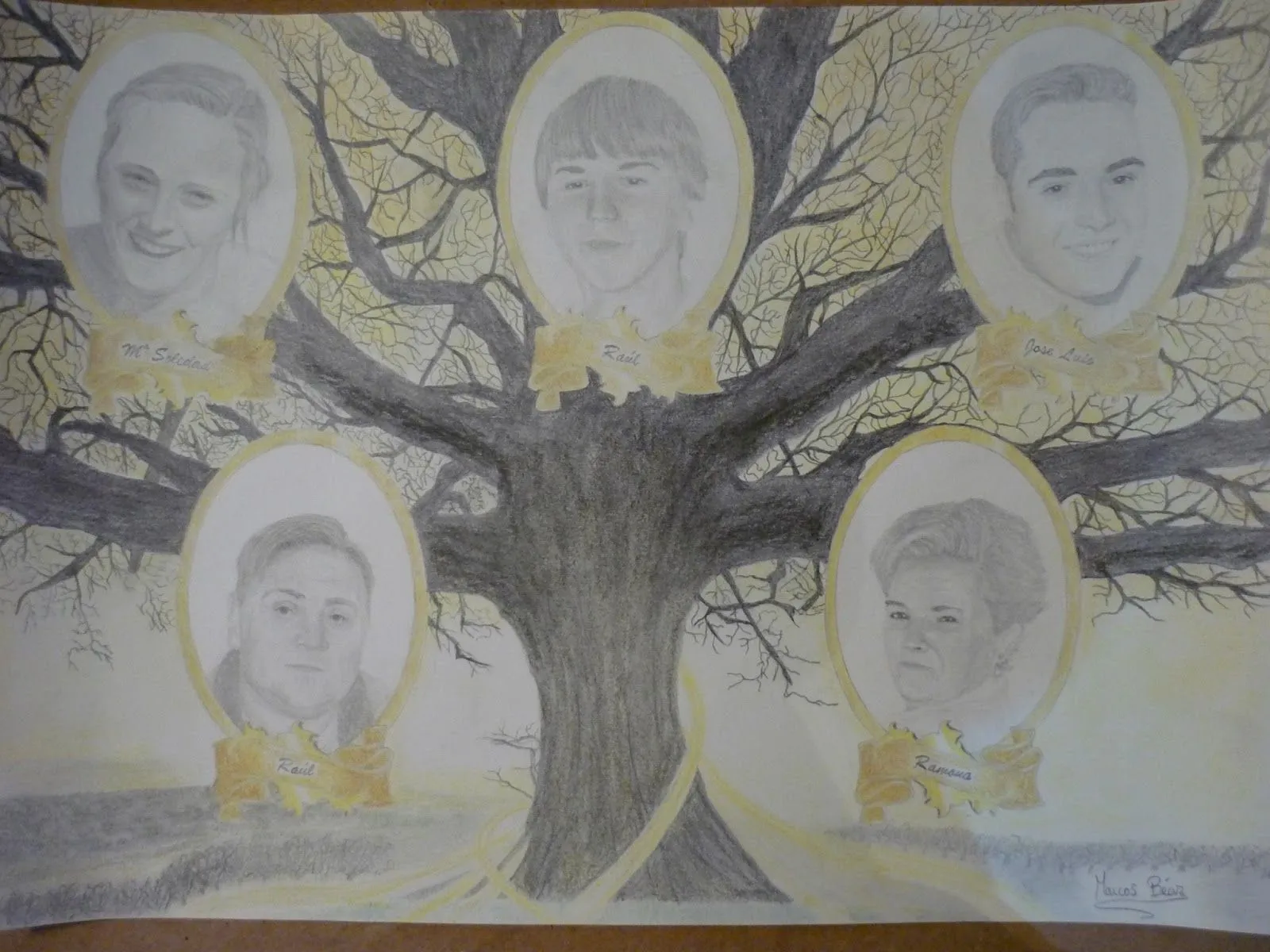 Retratos y Dibujos a Lápiz: Árbol Genealógico