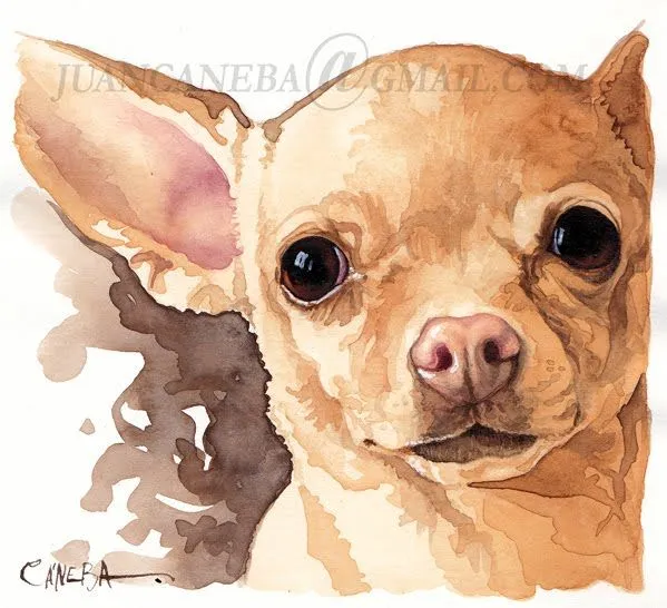 Retratos para Perros: Acuarela