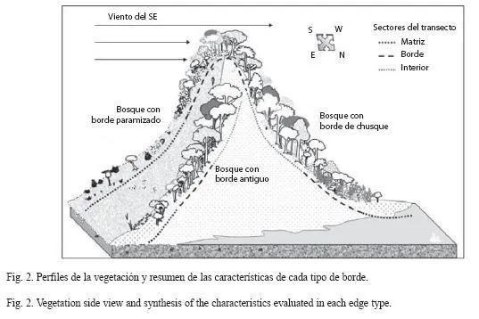 Revista de Biología Tropical - Caracterización de bordes de bosque ...