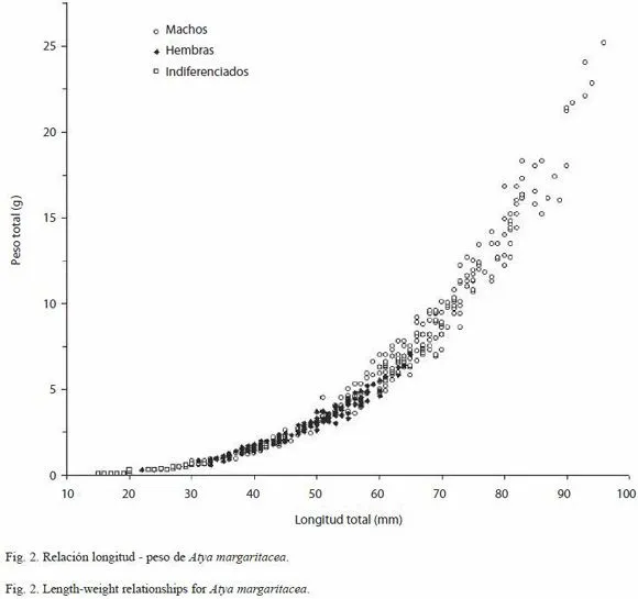 Revista de Biología Tropical - Crecimiento y reproducción del ...