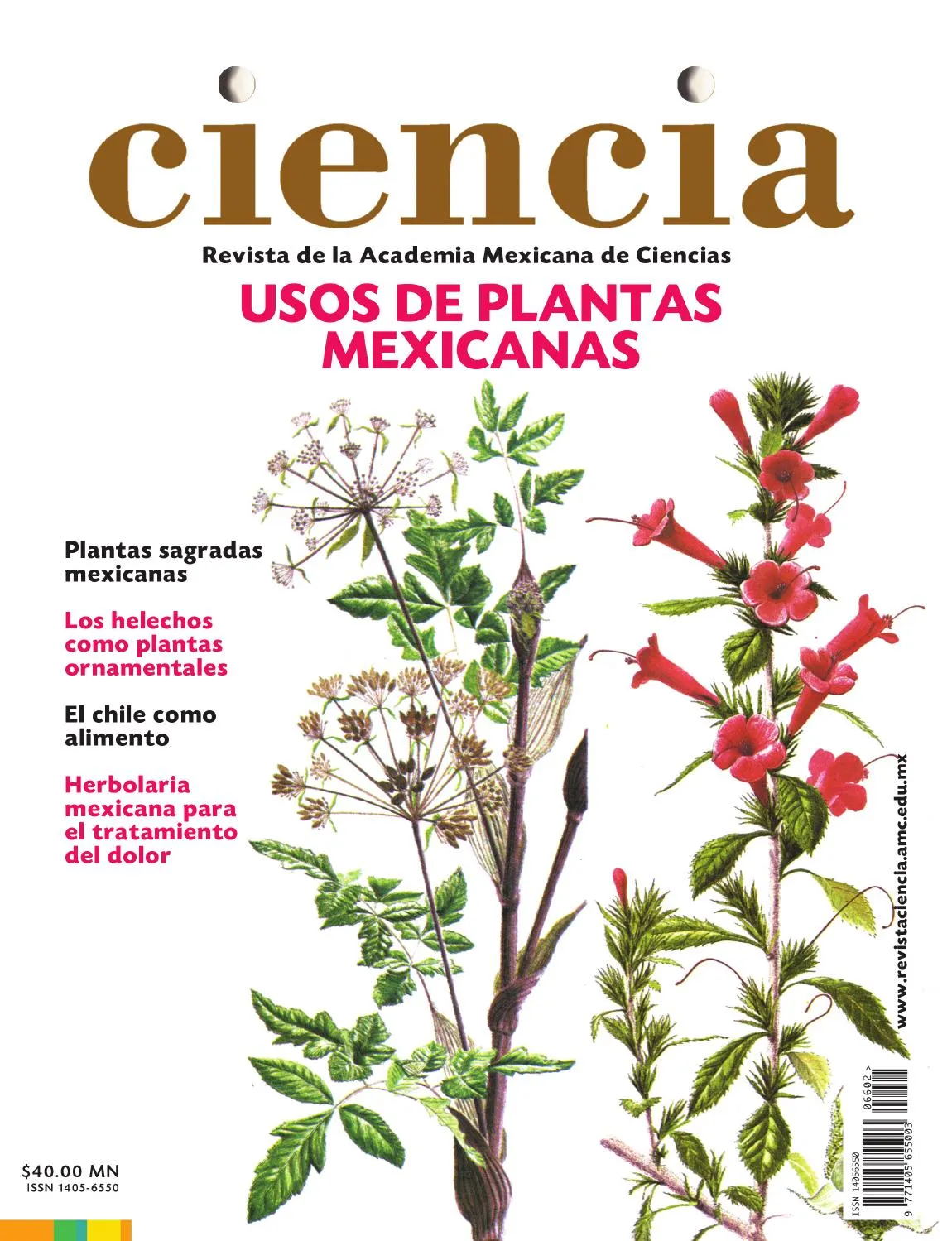 Revista Ciencia vol.66-3 by Academia Mexicana de Ciencias - Issuu