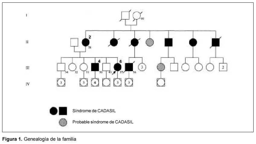 Revista Médica del Uruguay - CADASIL: comunicación de una familia ...