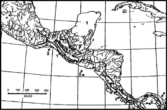 Revista mexicana de biodiversidad - Hacia una síntesis ...