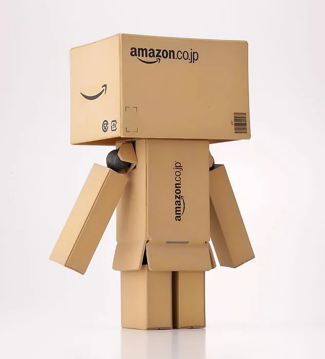 Revoltech Danbo Amazon Box Version