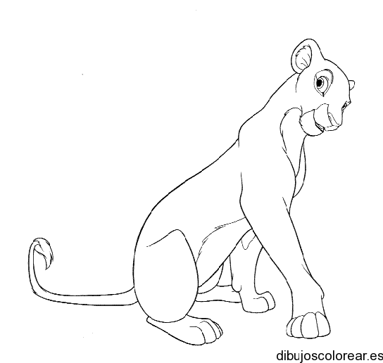 El Rey León | Dibujos para Colorear