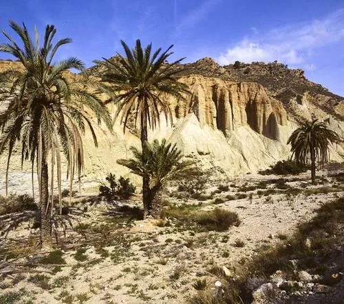 Ricote: el valle morisco que parece un belén >> Paco Nadal >> El ...