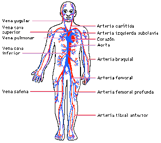 El rincón de nuestras aventuras