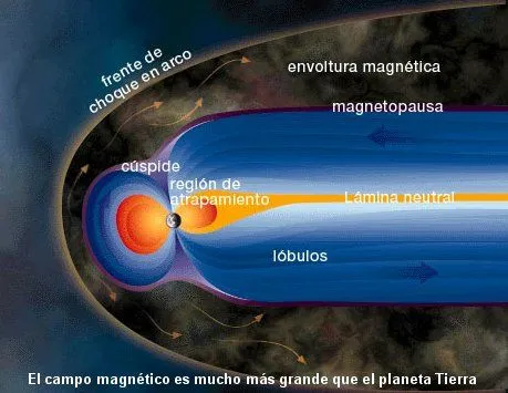 El Rincon de Biología y Geología para 4ºE.