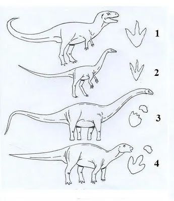 EL RINCON DE LA MAESTRA: HUELLAS DE DINOSAURIOS