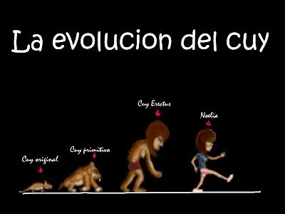 Mi rincon manchado: La evolucion del cuy