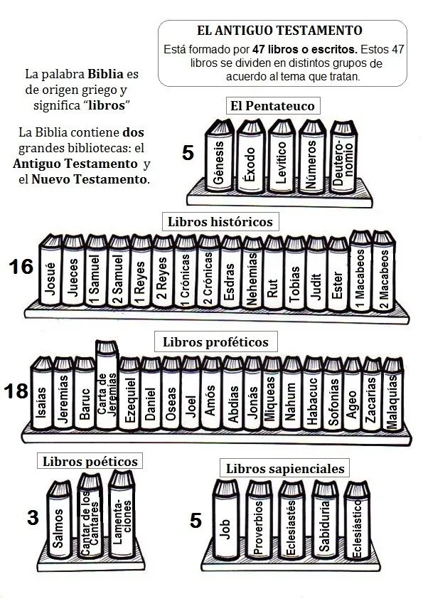 El Rincón de las Melli: Los Libros de la Biblia para colorear