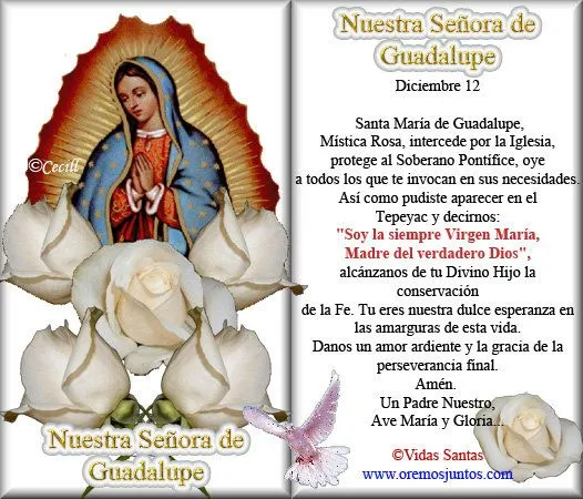 Rincón de la Oración: Estampas Oraciones de Nuestra Señora de ...