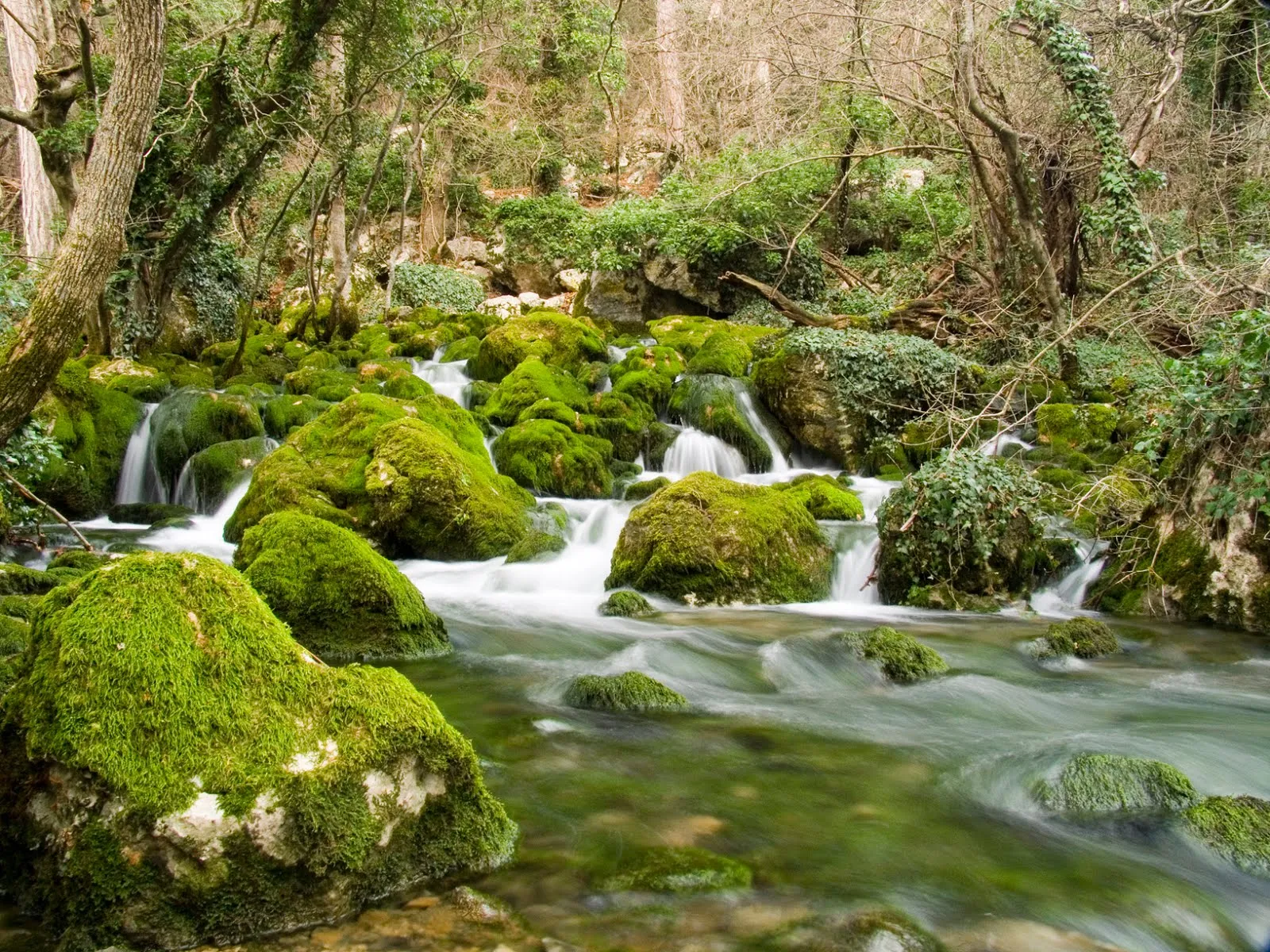 Río de agua viva cruzando por las rocas cubiertas de musgo | Banco ...