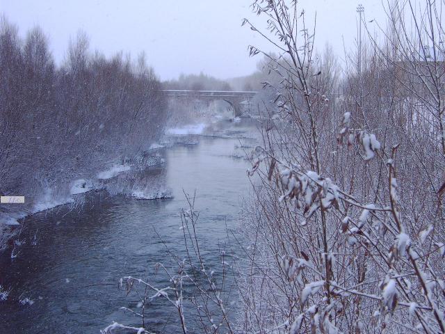 RIO TORIO A SU PASO POR PUENTE CASTRO/ NEVANDO