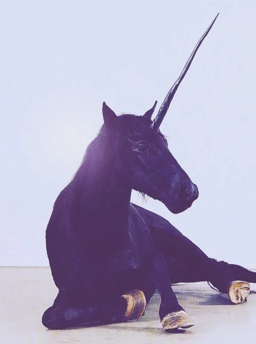 Tumblr unicornios hipster - Imagui