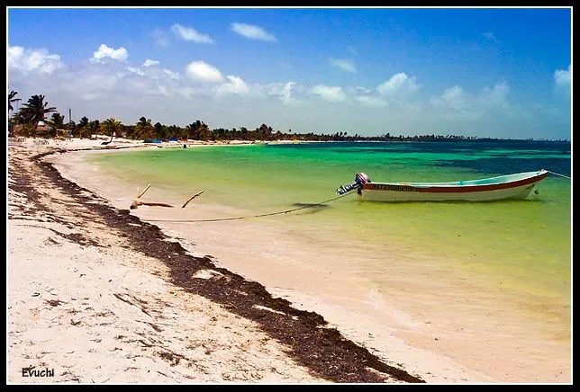 Riviera Maya - Mayo 2008 - Playa paradisiaca - Senderos de Ilusión