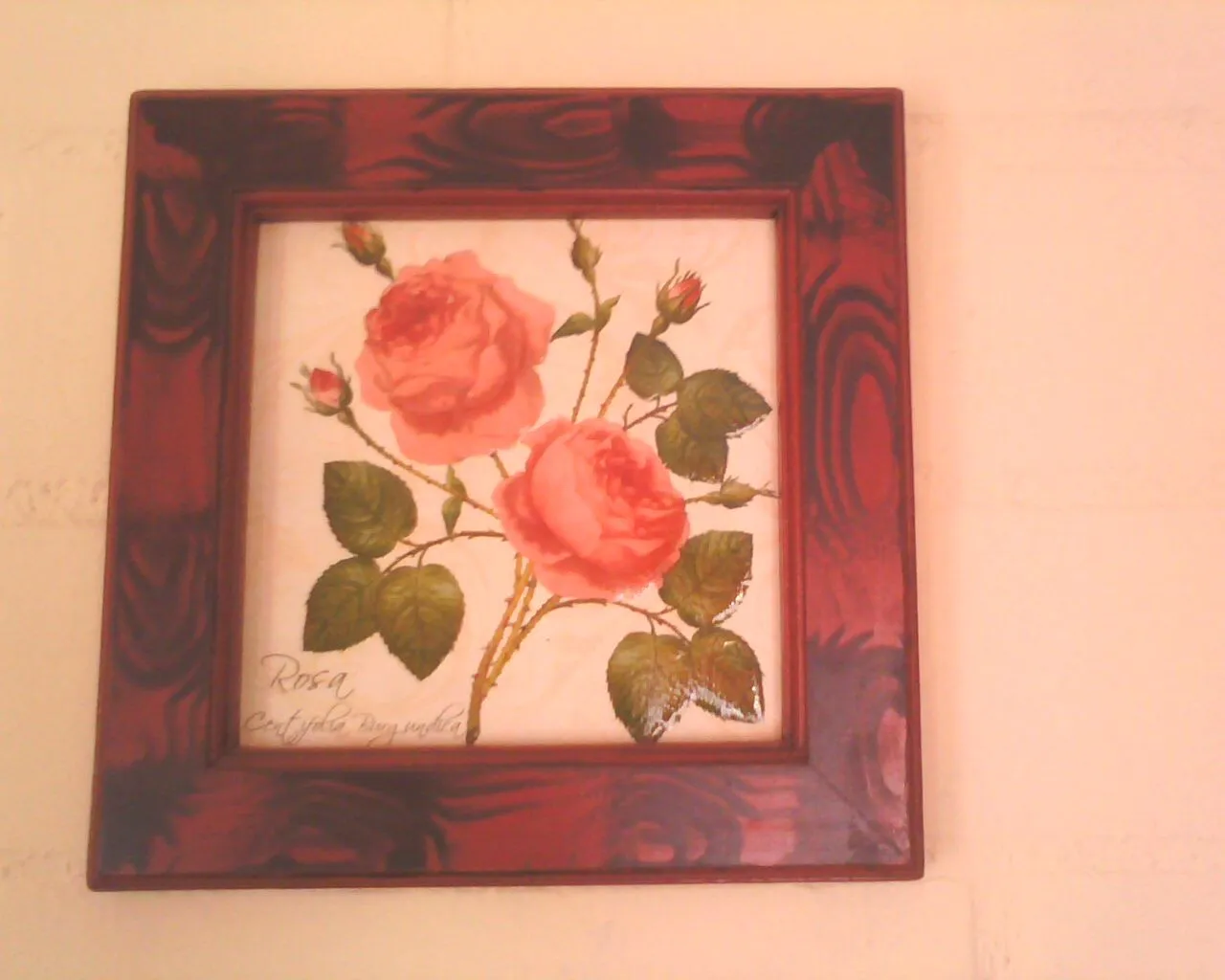 ROAGUSHABBY: cuadros con decoupage