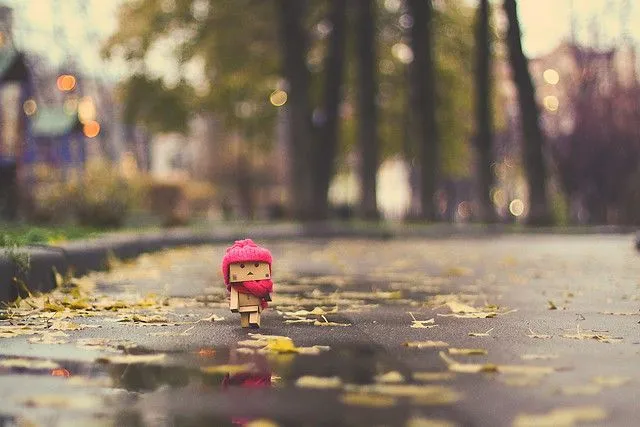 Wet Autumn | Flickr - Photo Sharing!