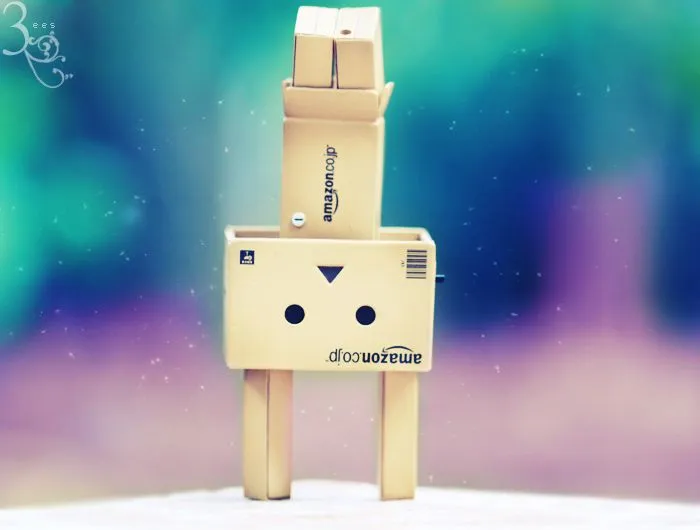 Robot de carton danbo - Imagui