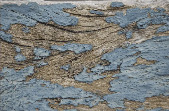 Roca Marciana o… Madera Marciana | Las Tinieblas de la Mente