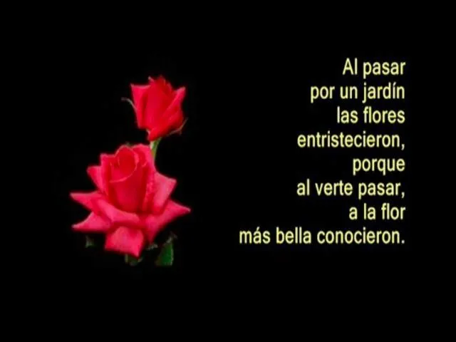 Romanticos poemas-frases de amor- bellos mensajes de enamorados ...