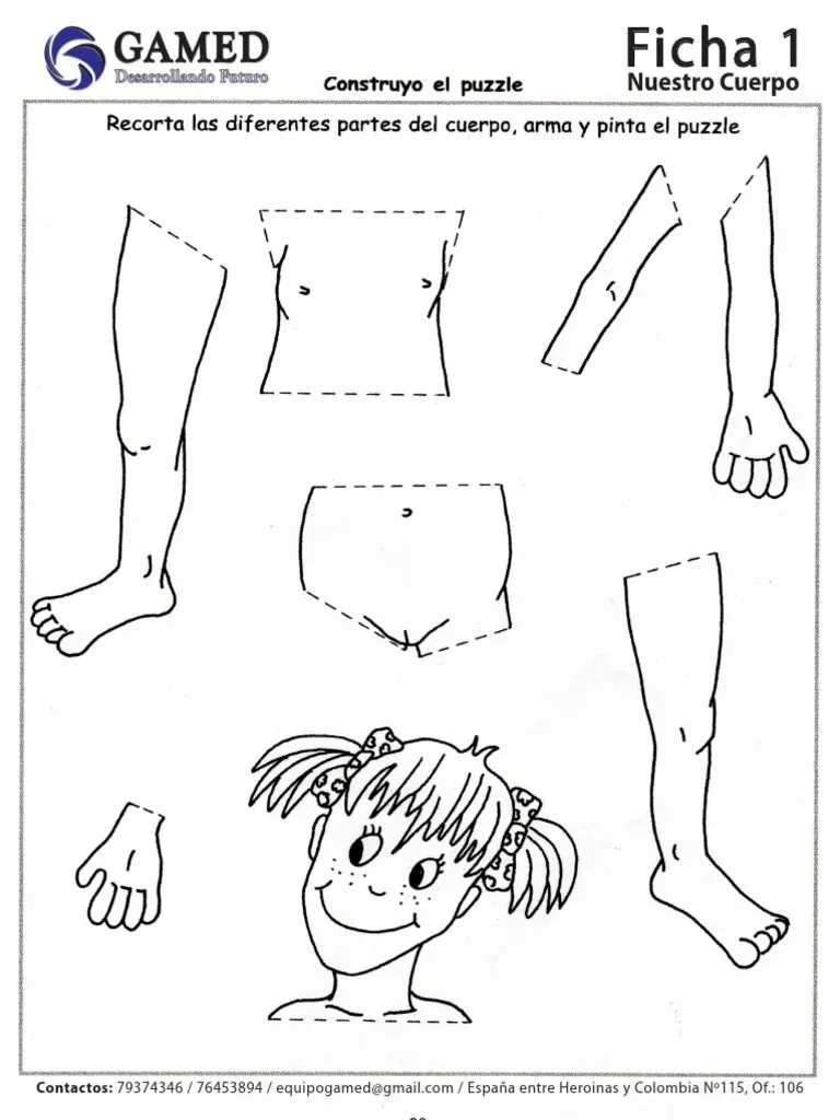 Rompecabeza Del Cuerpo Humano | PDF