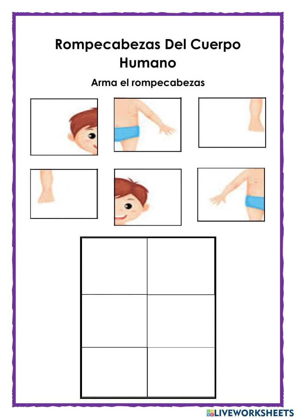 Rompecabezas del cuerpo humano interactive worksheet | Live Worksheets