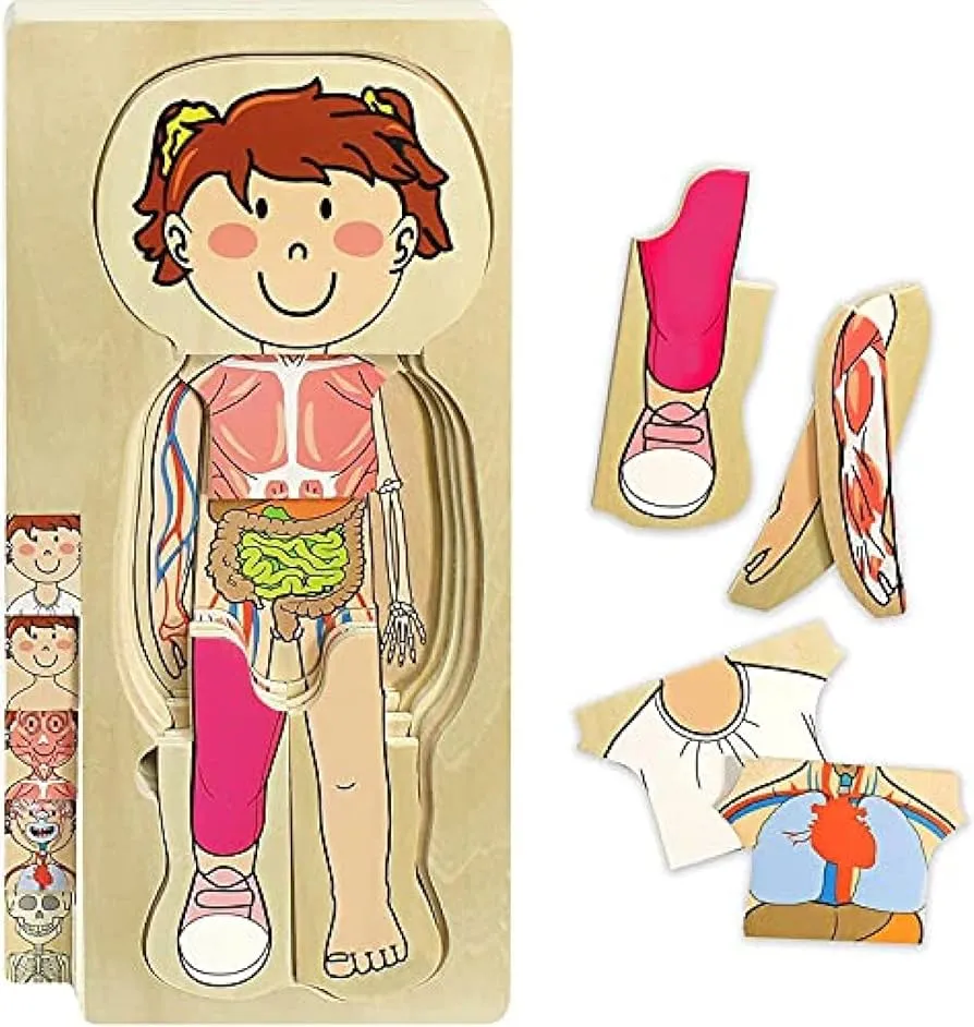 Rompecabezas De Cuerpo Humano De Madera para Niños-Rompecabezas Educativo  De Anatomía Humana Rompecabezas De Cuerpo para Aprender Partes del Cuerpo,  Órganos, Músculos Y Huesos Regalo Perfecto para : Amazon.com.mx: Juguetes y  Juegos