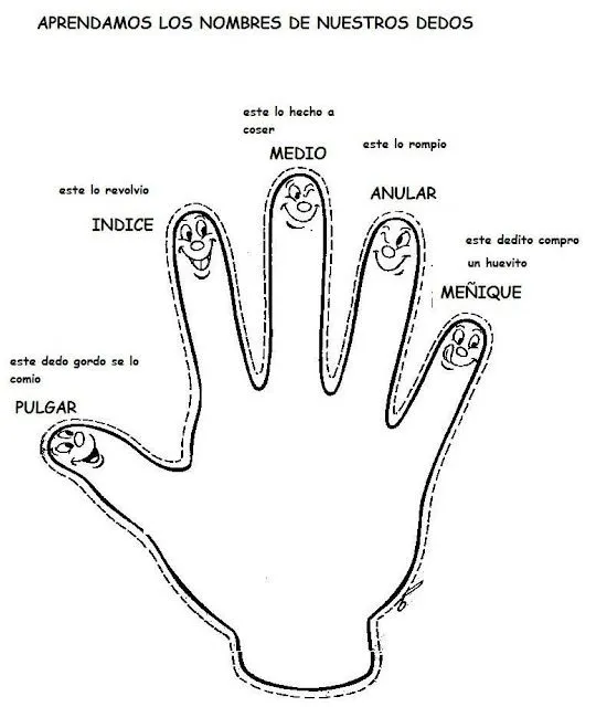 Rompecabezas cuerpo humano para niños preescolar - Imagui