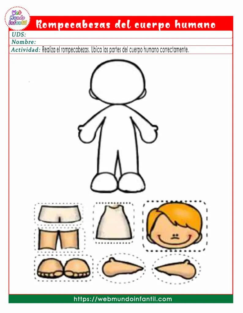 Rompecabezas del cuerpo humano para niños de preescolar