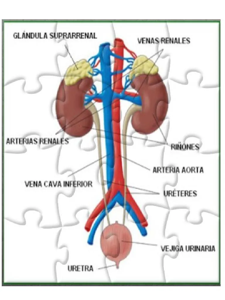 ROMPECABEZAS | PDF | Misterio