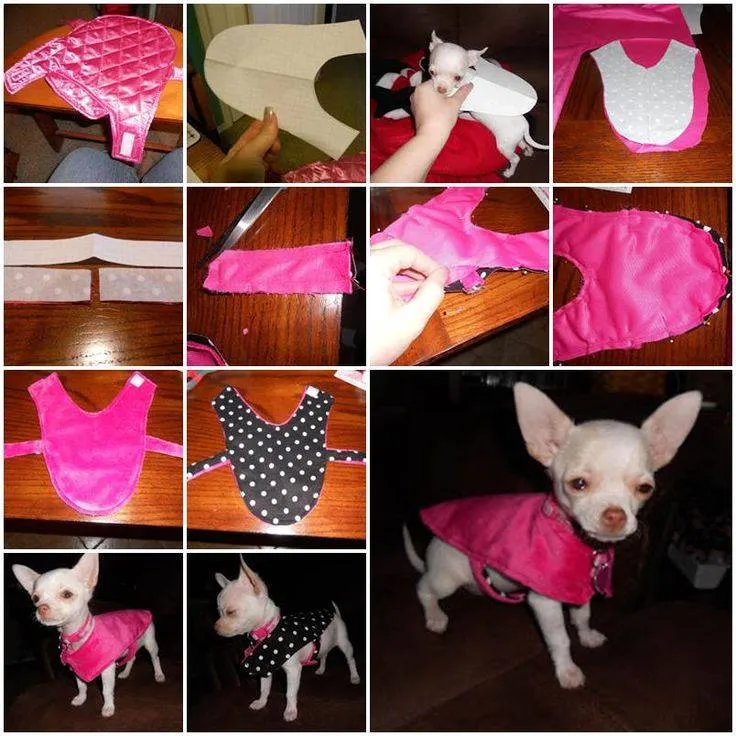 ROPA PARA PERROS CHIHUAHUA – mr.valentin
