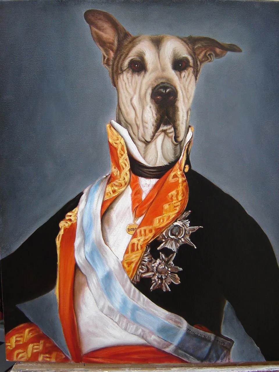 Ropa para Perros: Francis de Blas: Retratos Caninos