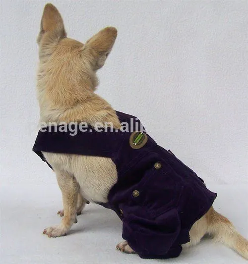 Ropa para perros pequeños - Imagui