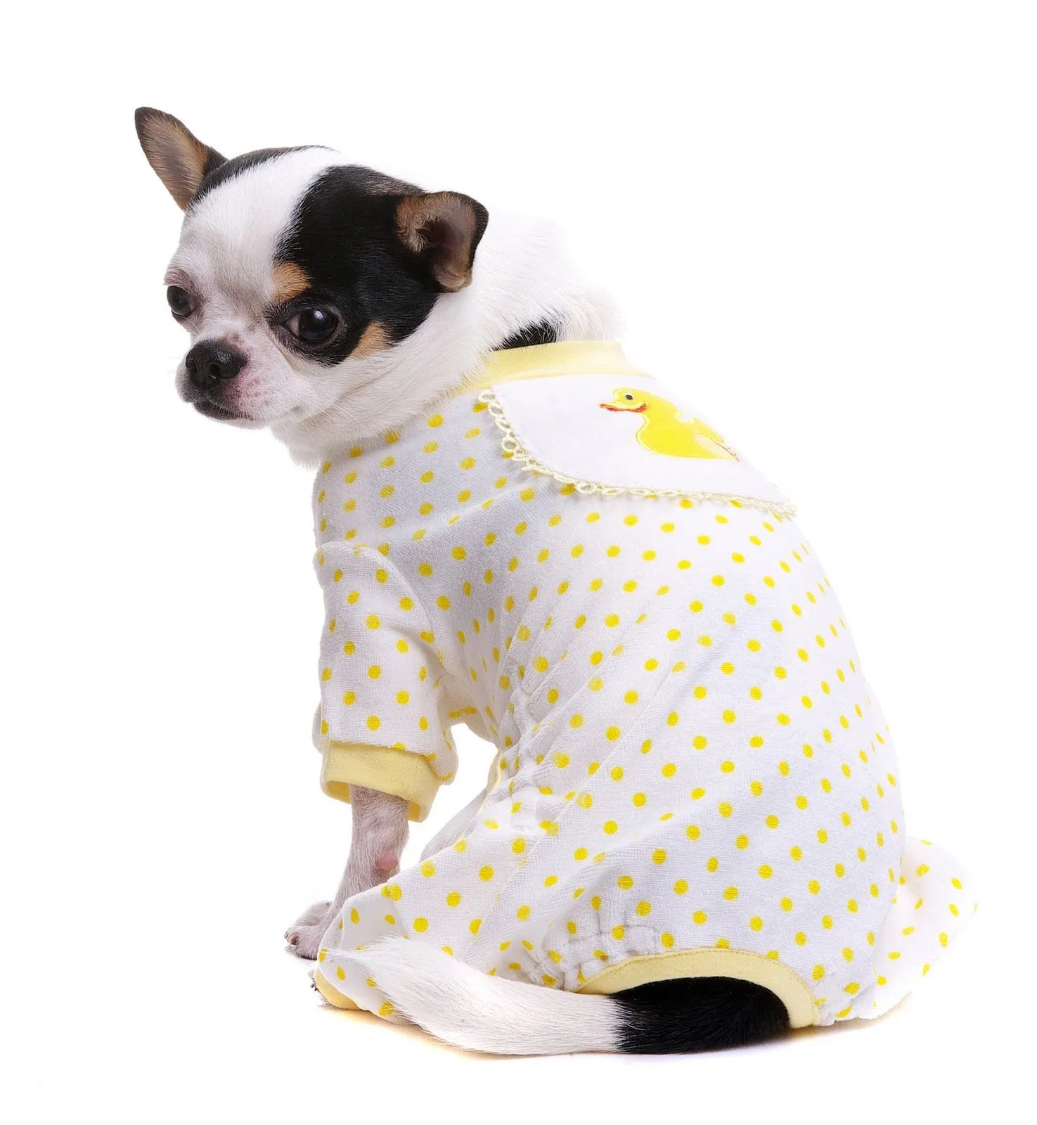 Ropa para Perros: ¡Pijamas para Perritos frioleros!