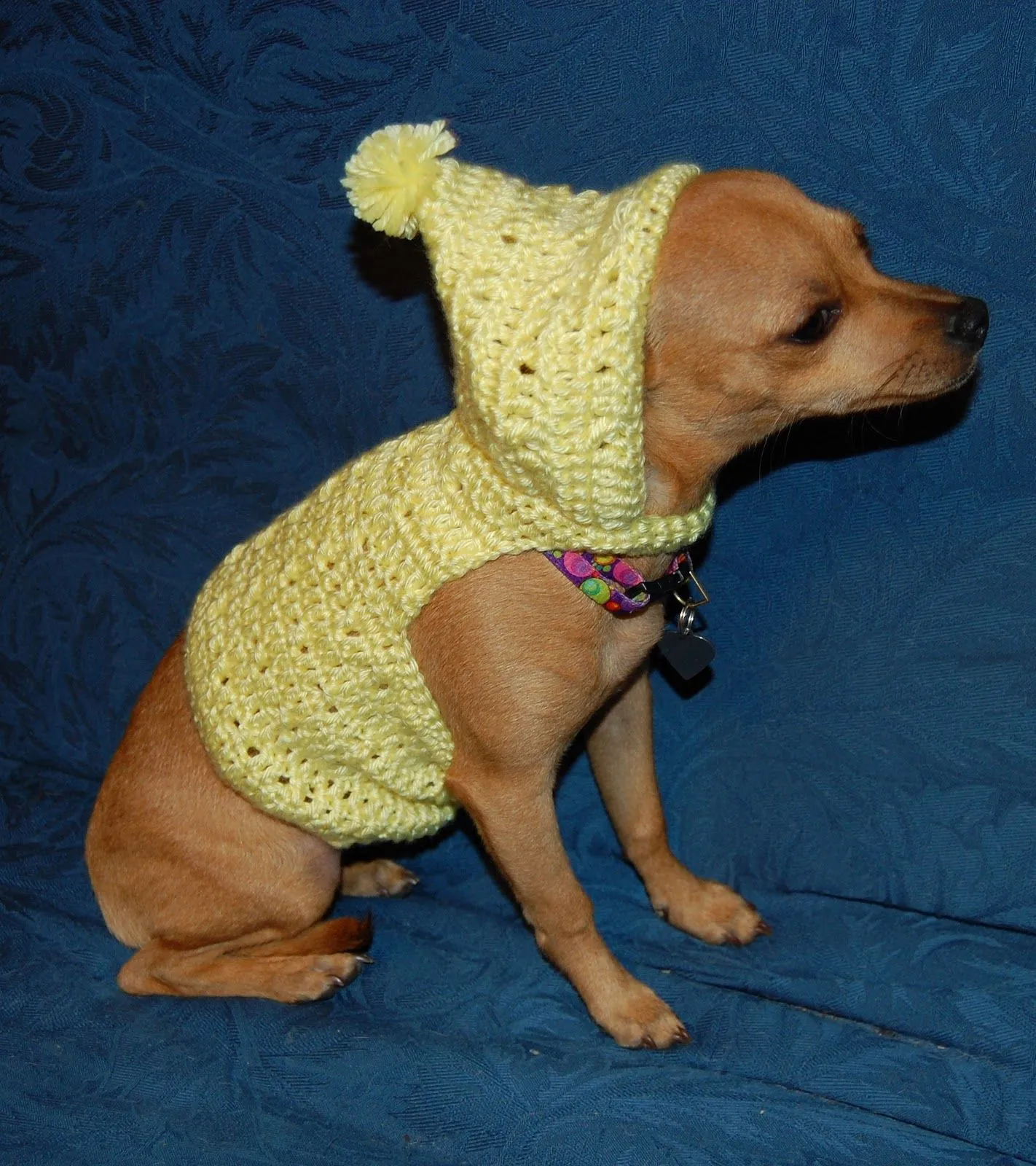 Ropa para Perros: Ropa para perros a crochet