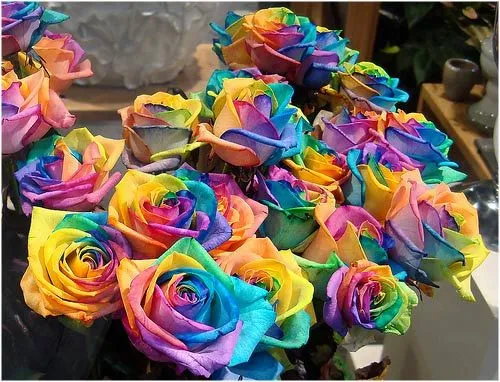 La Rosa arcoíris | LaReserva
