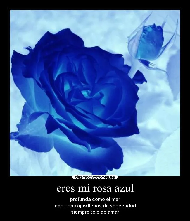 eres mi rosa azul | Desmotivaciones