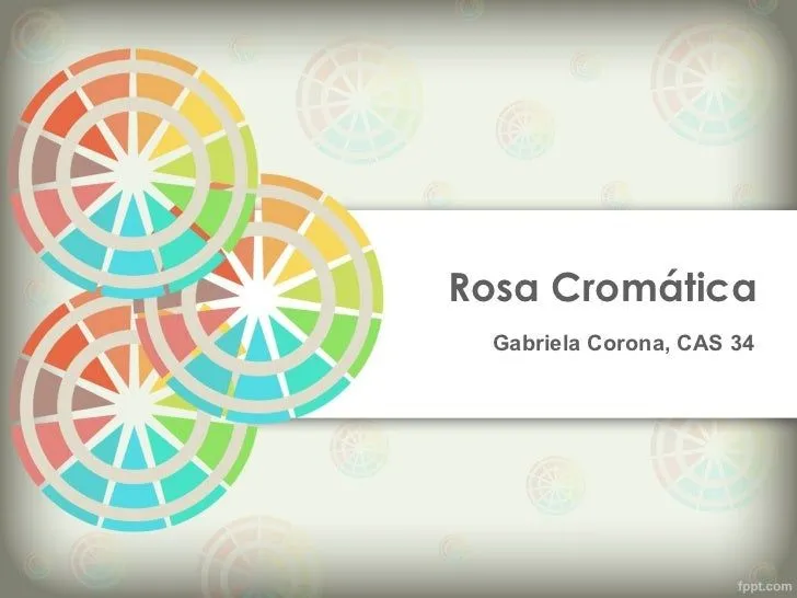 Rosa cromática