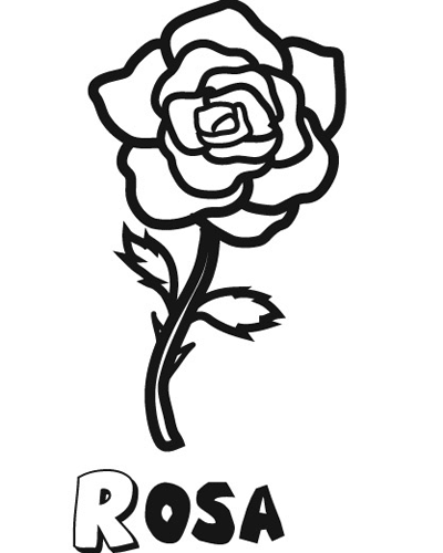 Rosa Para Dibujar - comentarios inteligentes sobre cosas interesantes.