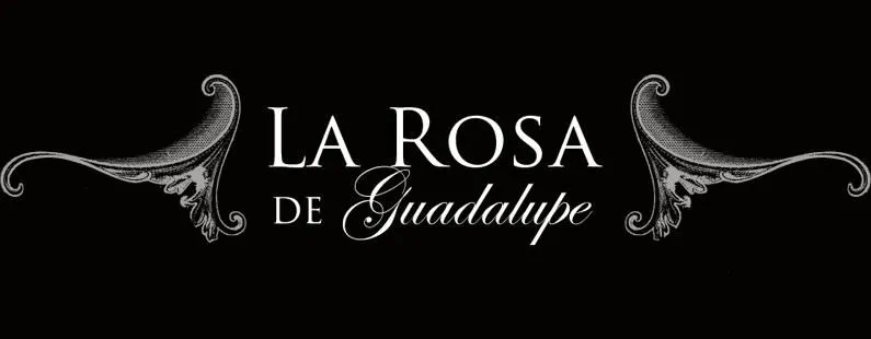 La Rosa de Guadalupe.