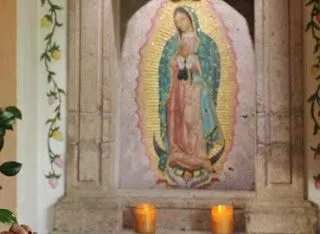 LA ROSA DE GUADALUPE