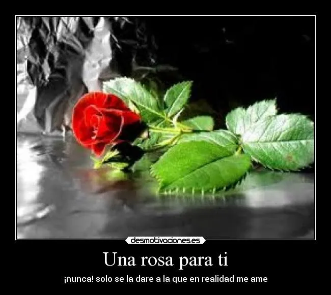 Una rosa para ti | Desmotivaciones