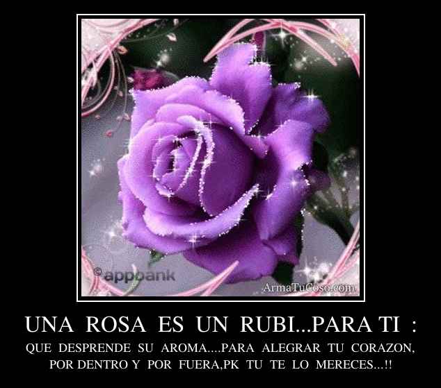 Una rosa para ti - IMGTKS.com